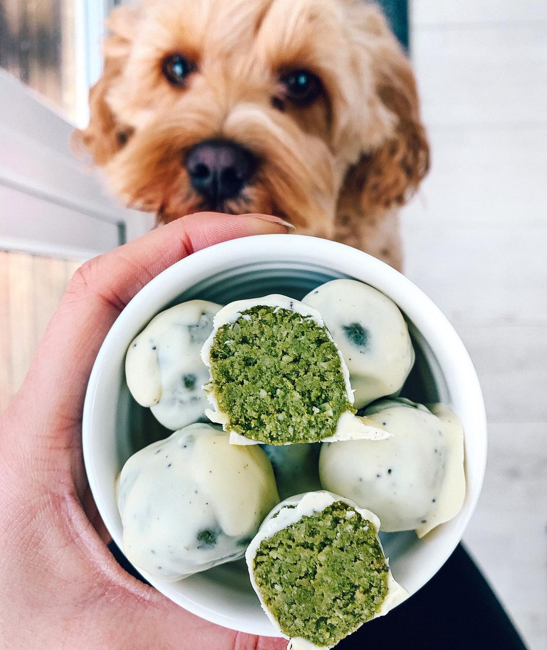 White Chocolate Matcha Bliss Balls