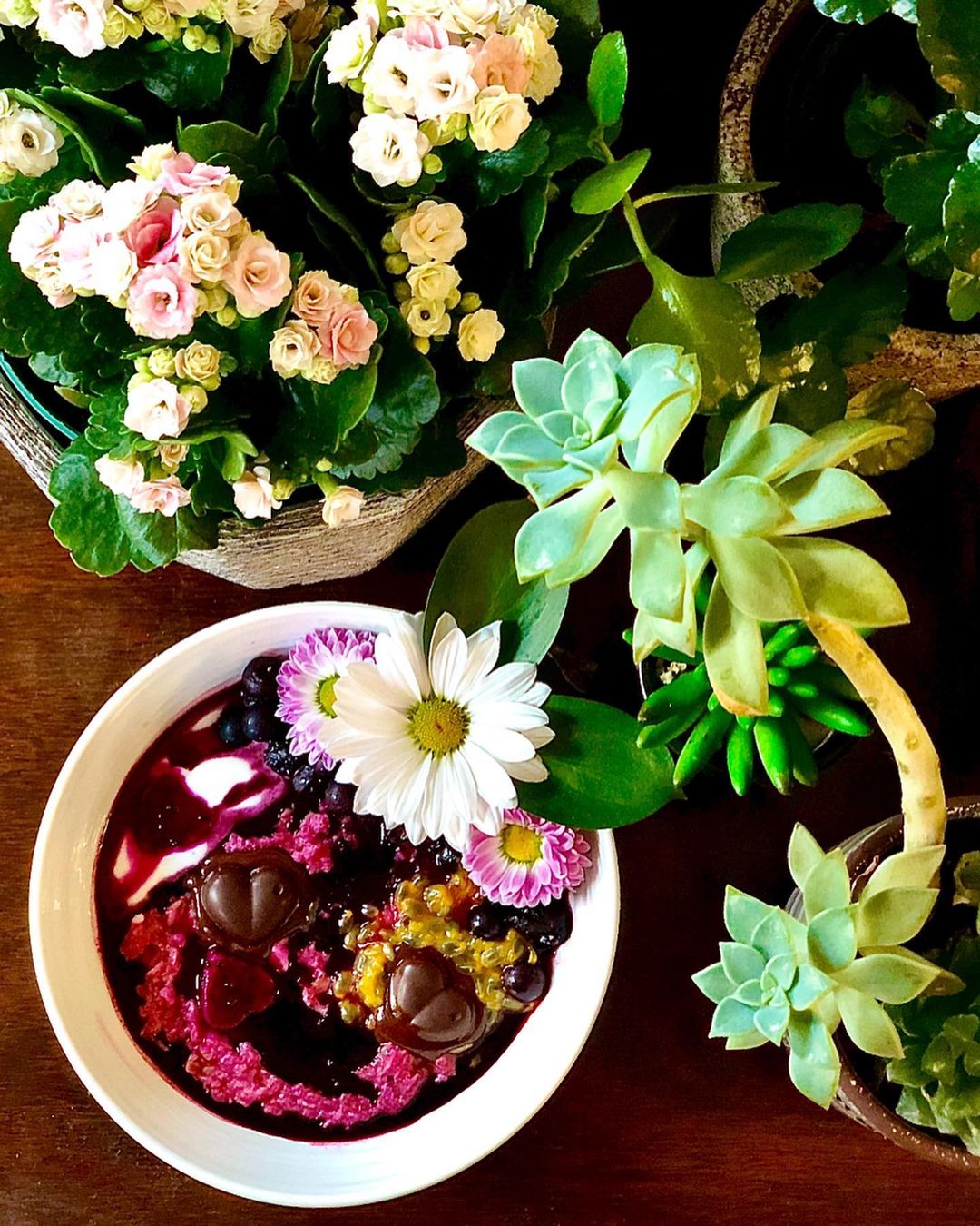 Fun Pink Pitaya Oatmeal Breakfast Bowl