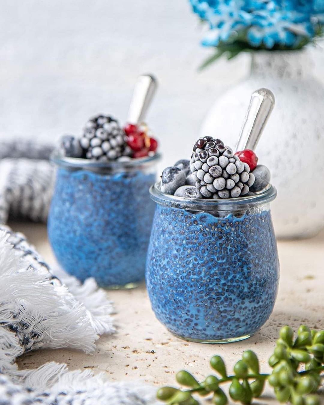 Blue Magic Chia Pudding