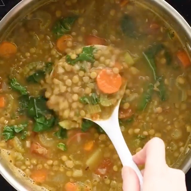 Vegan Savory Lentil Soup
