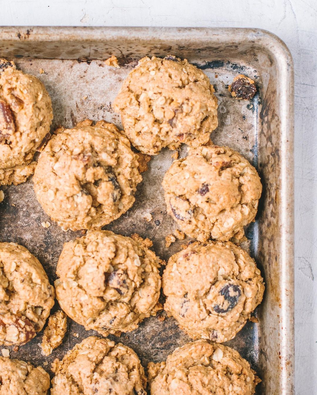 Vegan Oatmeal Cinnamon Cookies