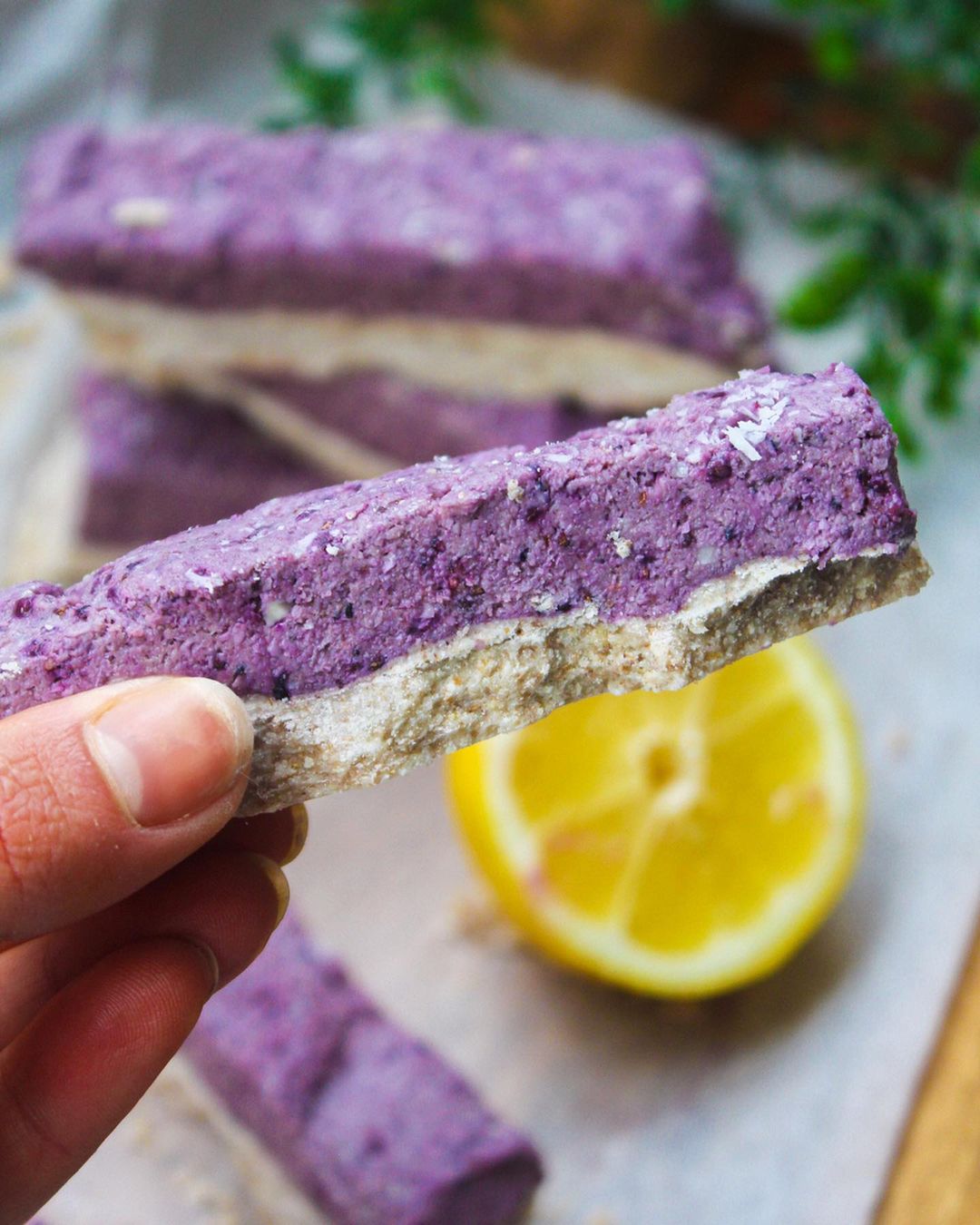 Vegan No Bake Blueberry Bars
