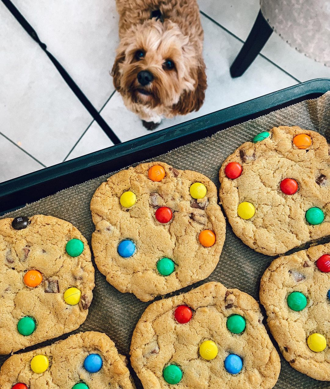 Soft and Chewy Chocolate Chip M&M Cookies