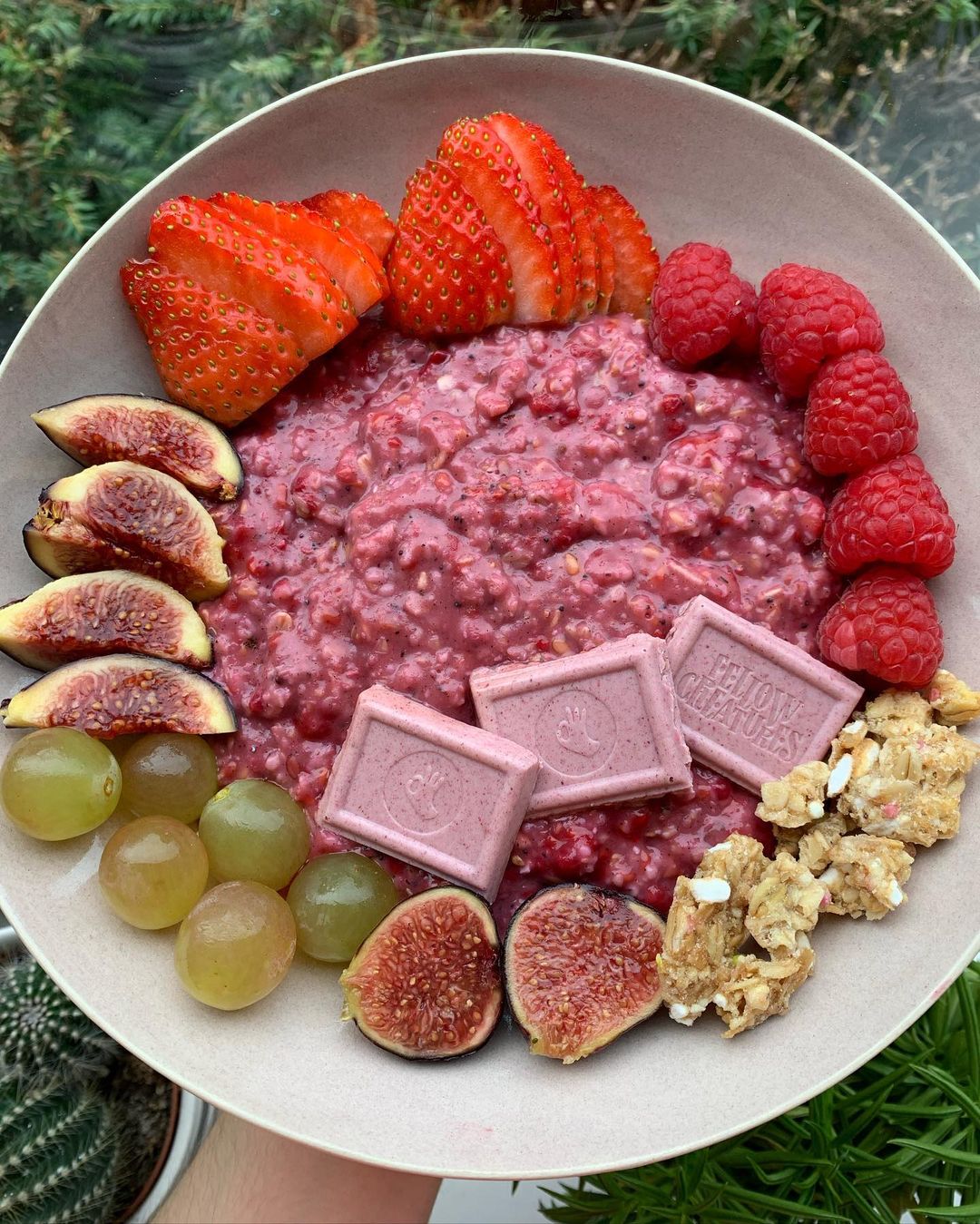 Raspberry and White Chocolate Vegan Porridge