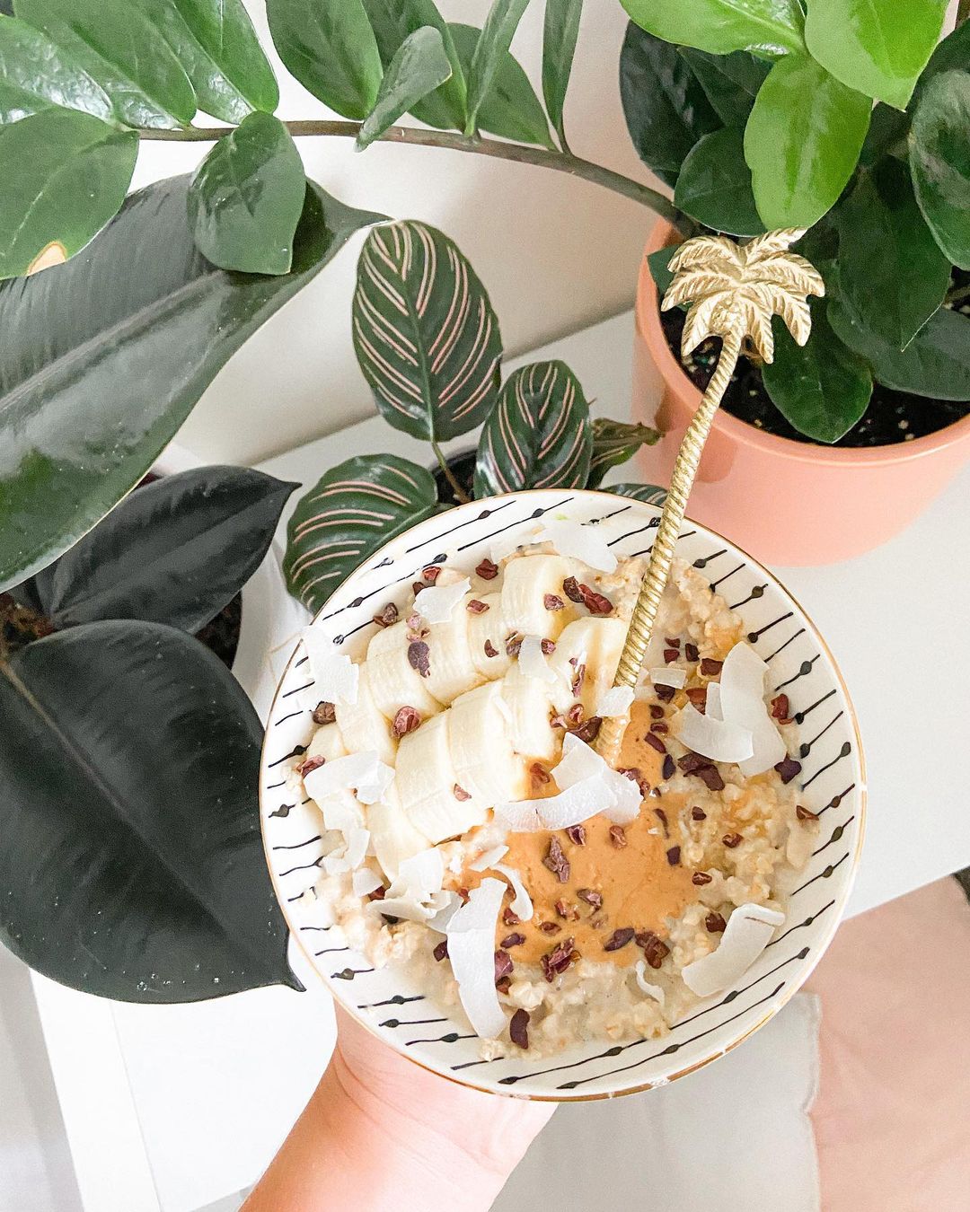 Easy Vanilla Protein Oats Breakfast