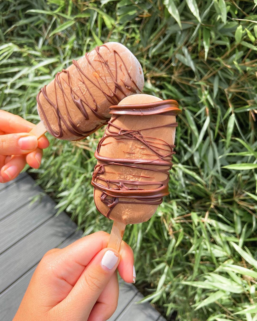 Healthy Vegan Fudgesicle’s