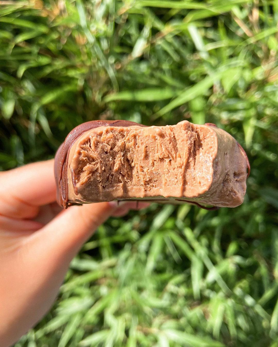Healthy Vegan Fudgesicle’s