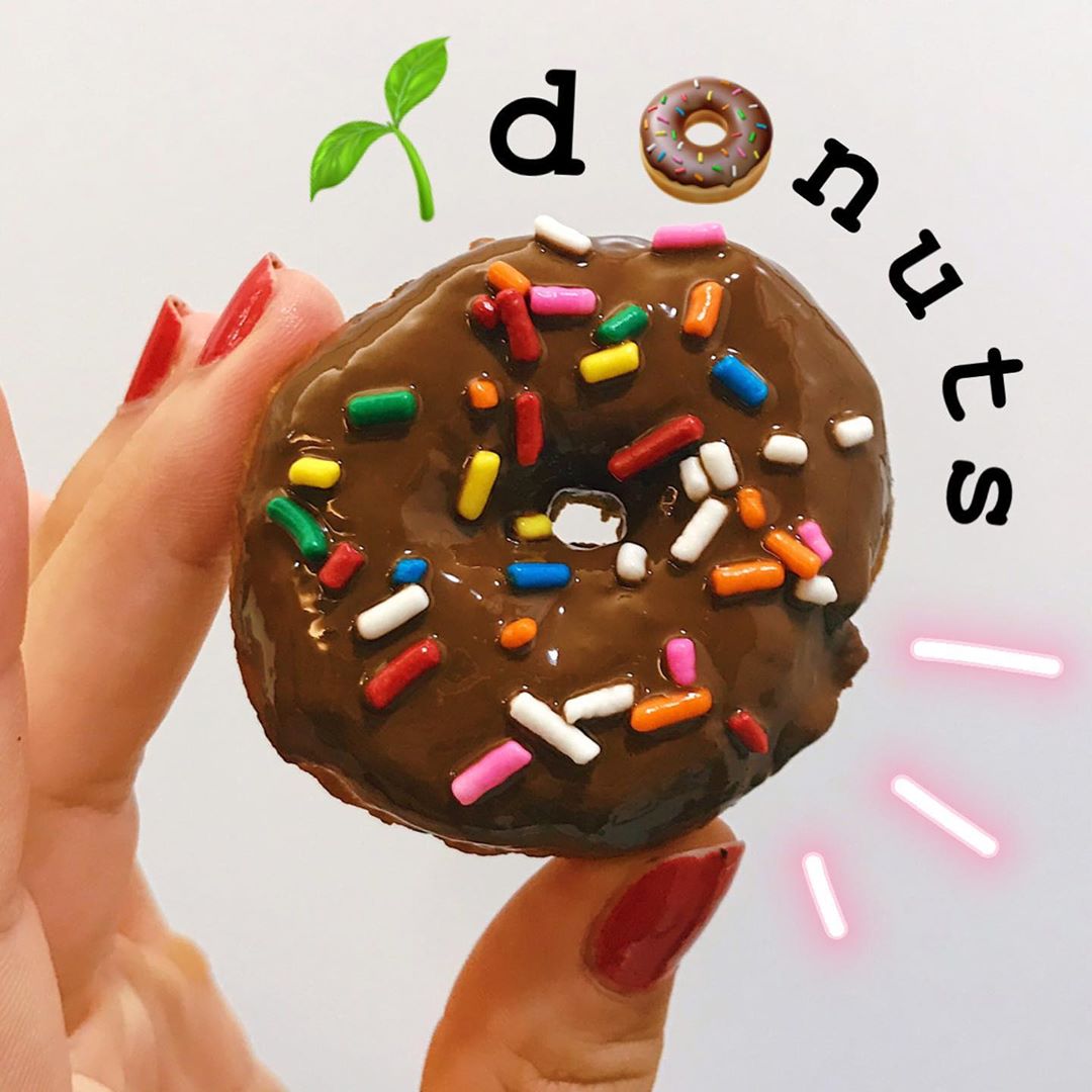 Homemade Vegan Donuts with Simple Toppings