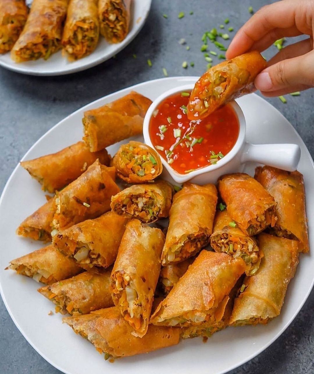 Fried Tofu and Vegetable Spring Rolls