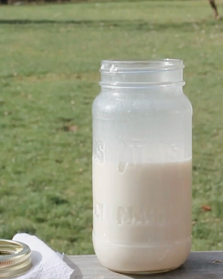 Simple Cashew Milk with Natural Sweeteners