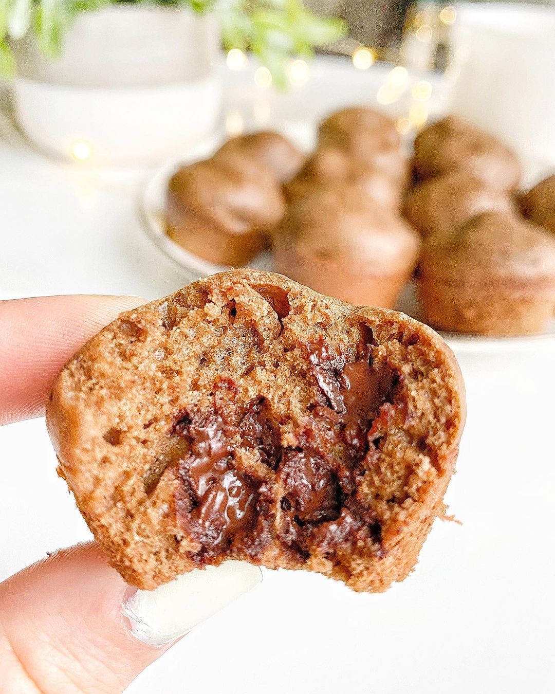 Double Chocolate Mini Muffins