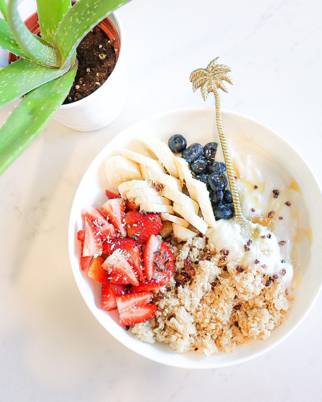 Delicious Oatmeal Bowl with Fresh Fruit and Yogurt