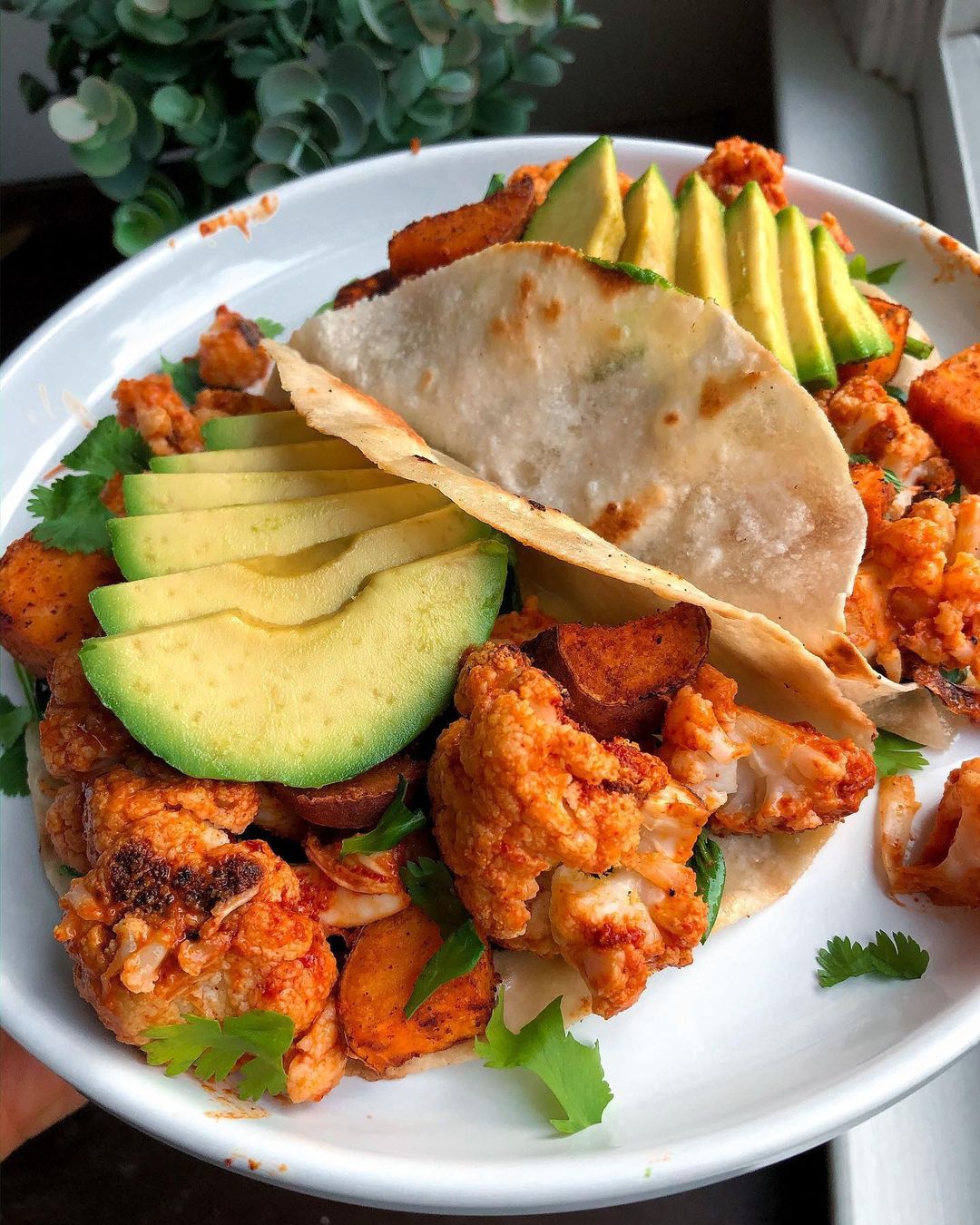 Buffalo Cauliflower and Sweet Potato Tacos
