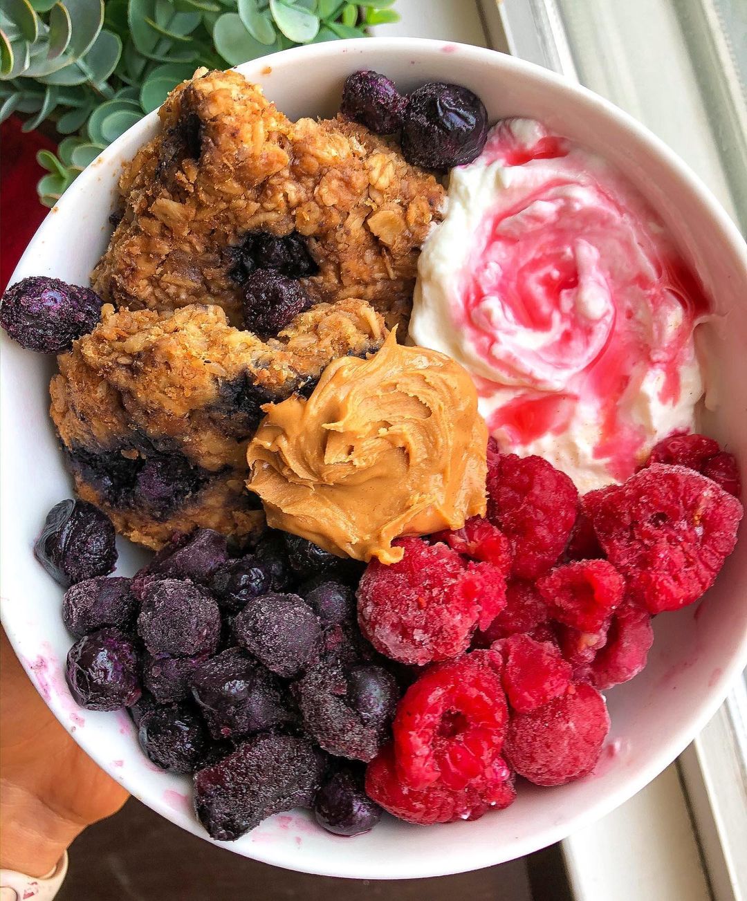 Blueberry Oatmeal Breakfast Bars