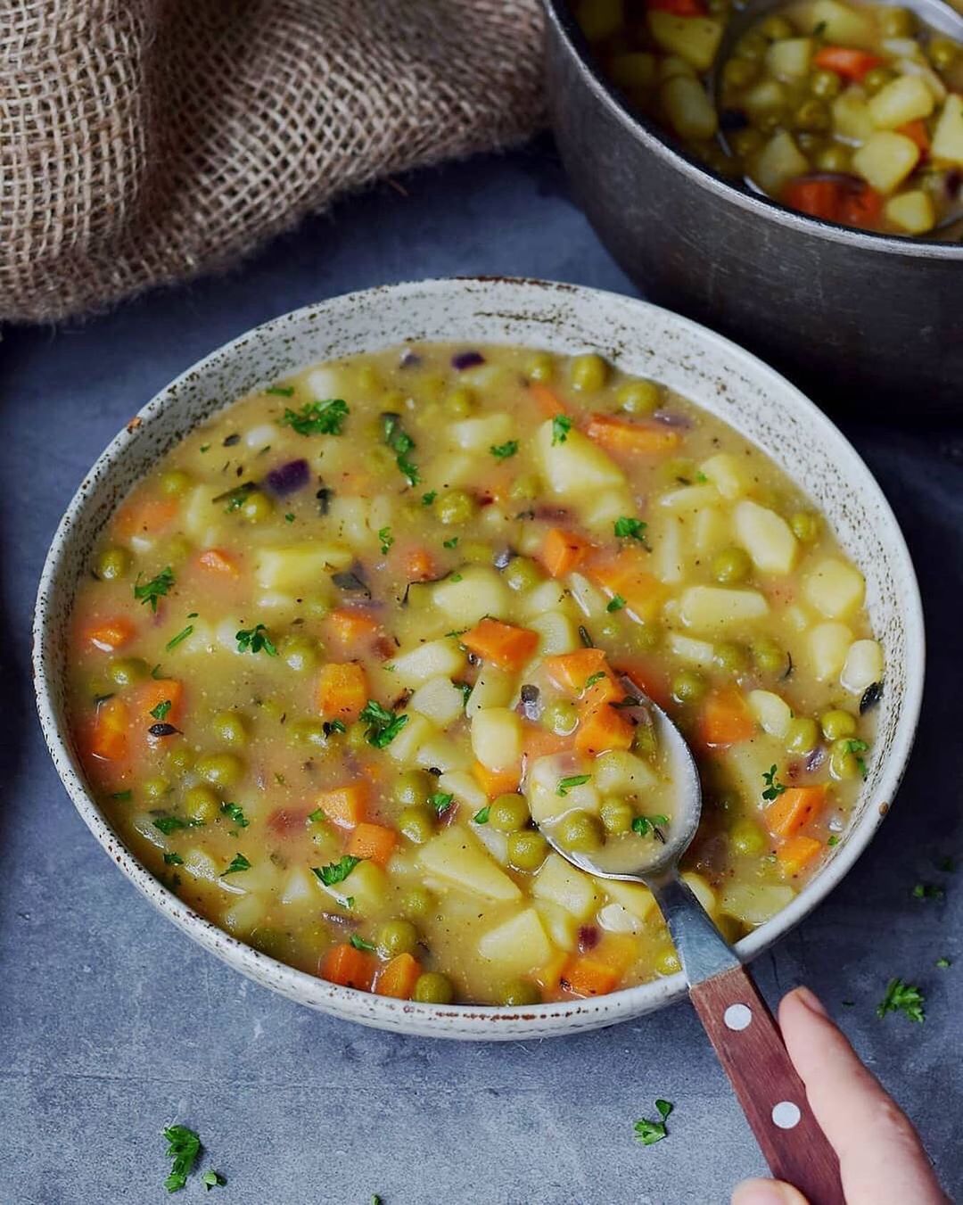Vegan Vegetable Stew with Herbs