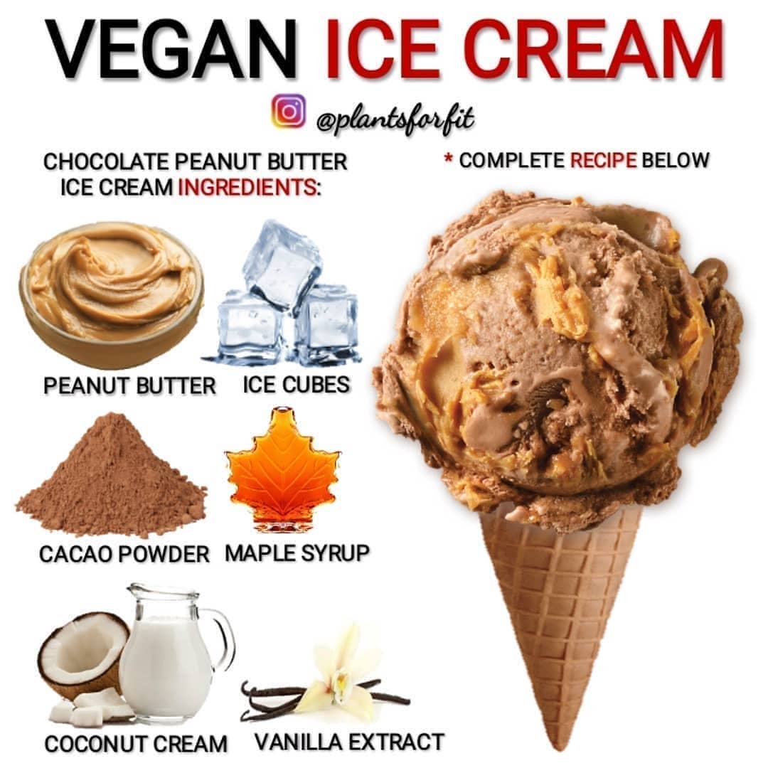 Vegan Chocolate Peanut Butter Ice Cream