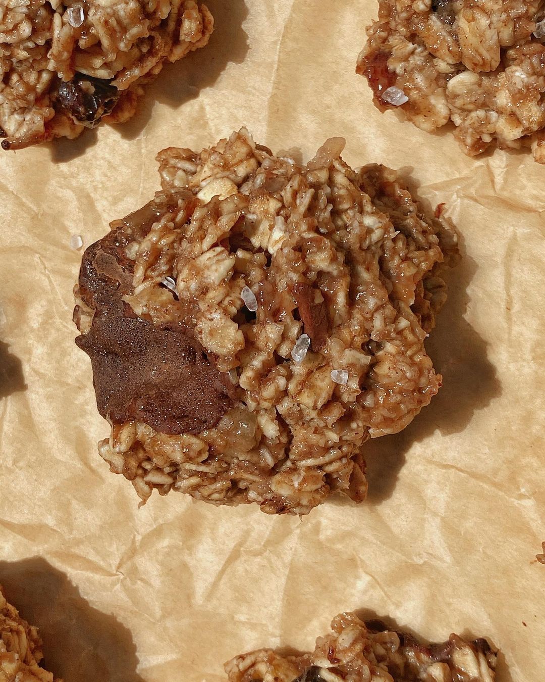 Delicious Easy Breakfast Cookies for Camping