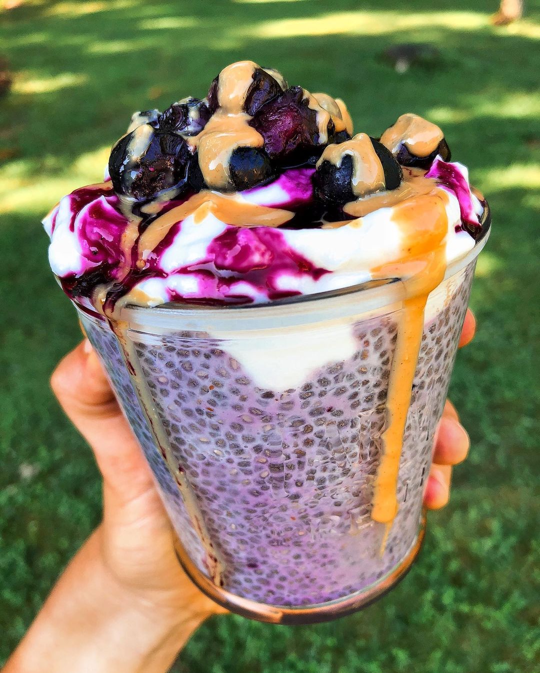 Overnight Blueberry Chia Pudding