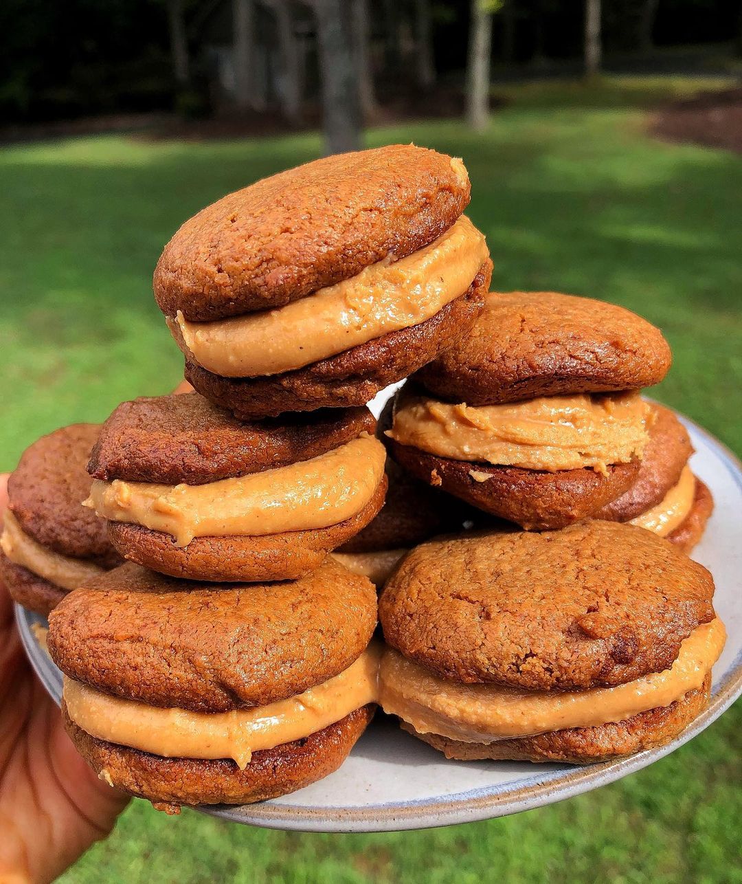 Peanut Butter Cookie Sandwich Bites