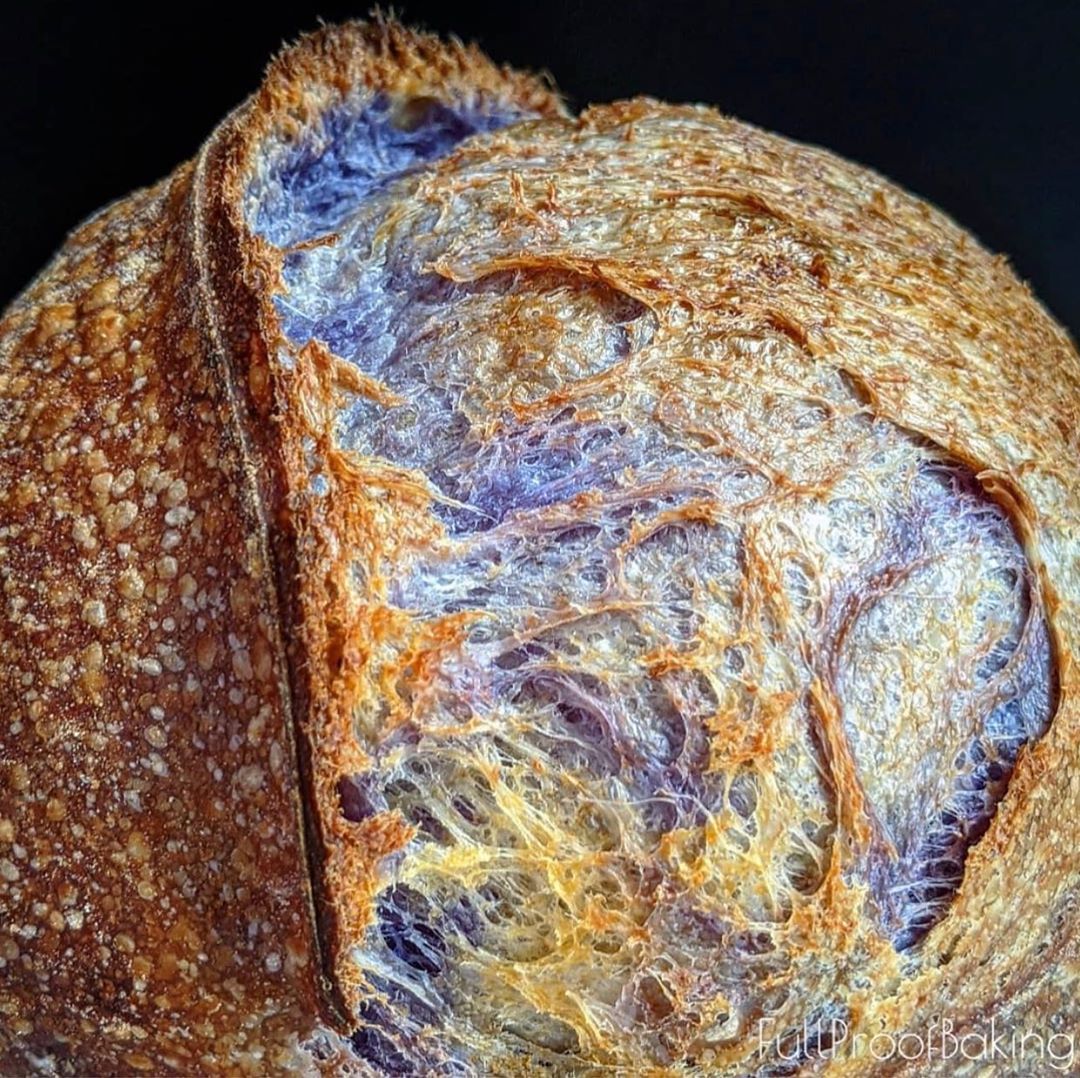 Butterfly Pea Flower Tea Sourdough