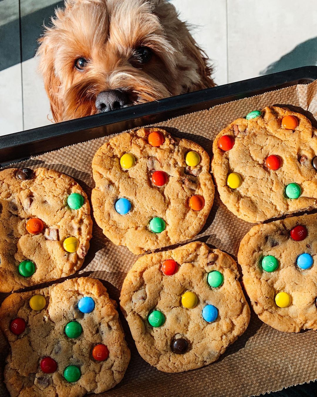 Delicious Rainbow Cookies with Chocolate Chips and M&M's