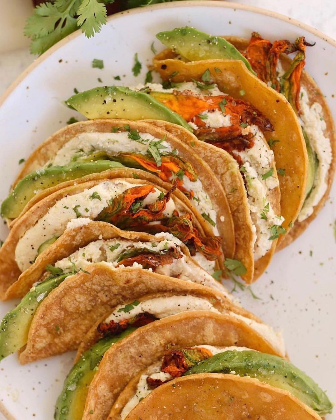 Squash Blossom Vegan Quesadillas