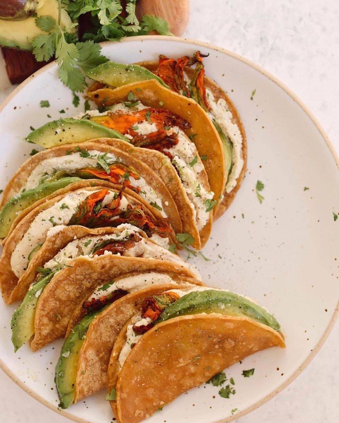 Squash Blossom Vegan Quesadillas