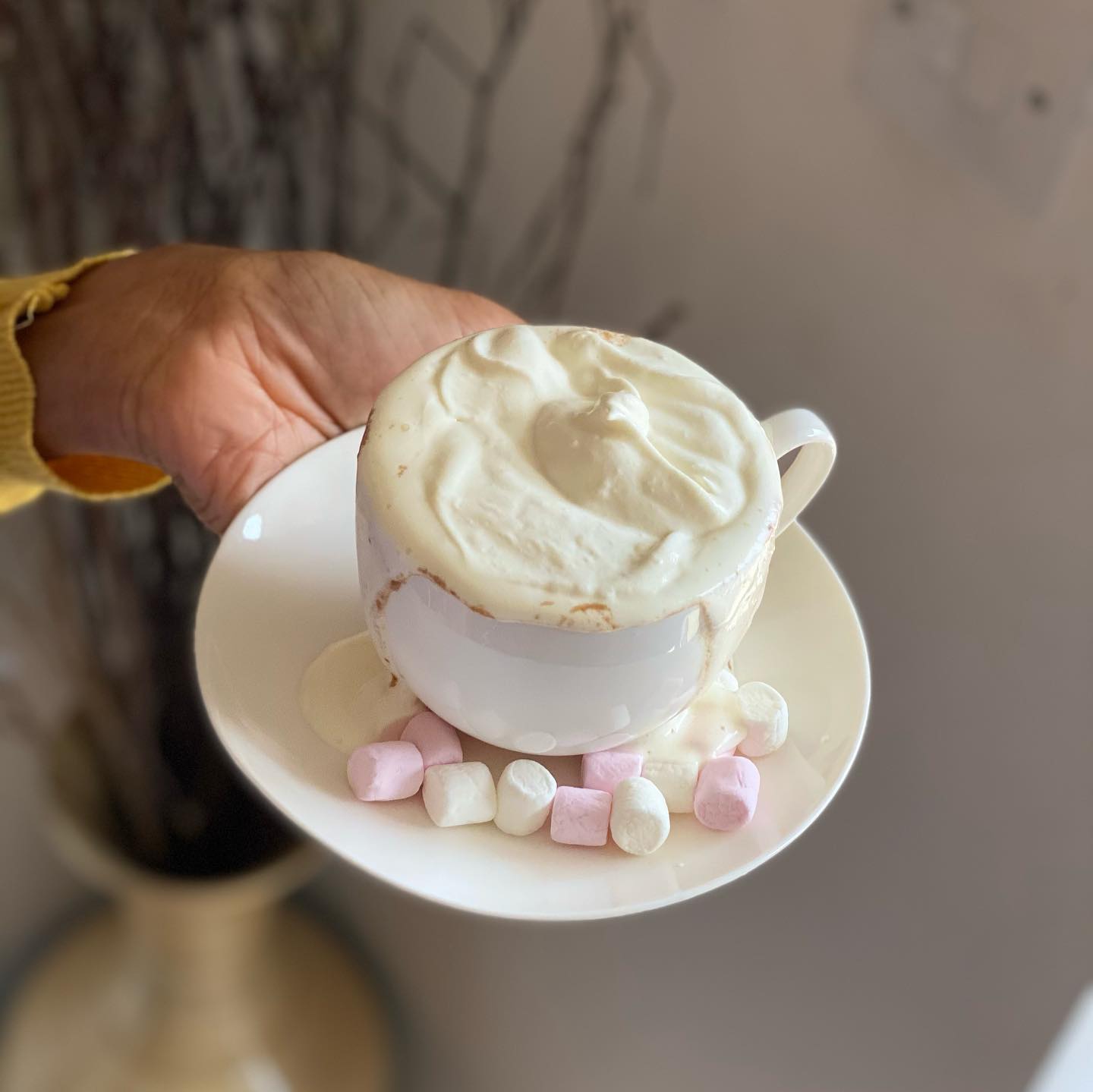 Simple Vegan Hot Chocolate