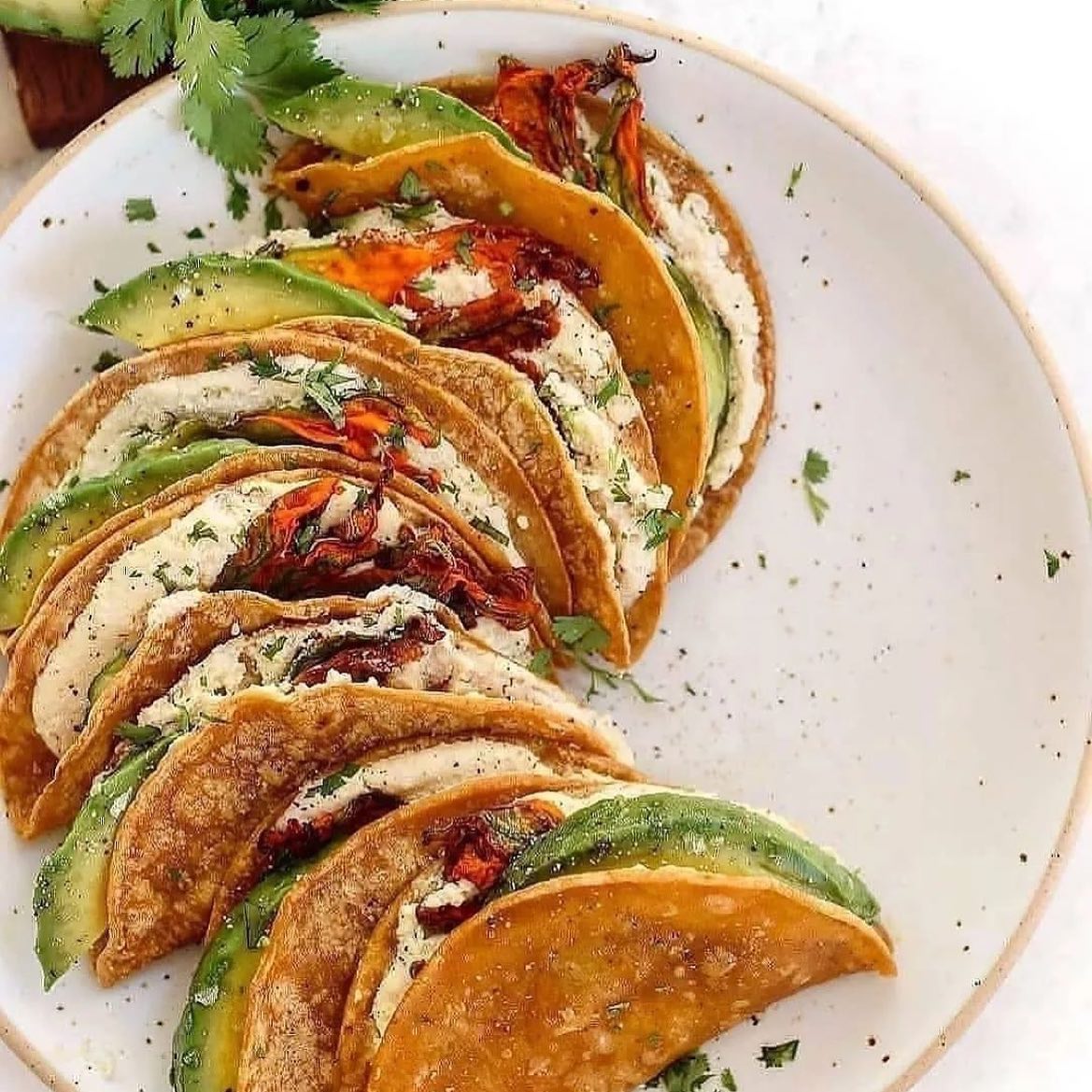 Squash Blossom Vegan Quesadillas