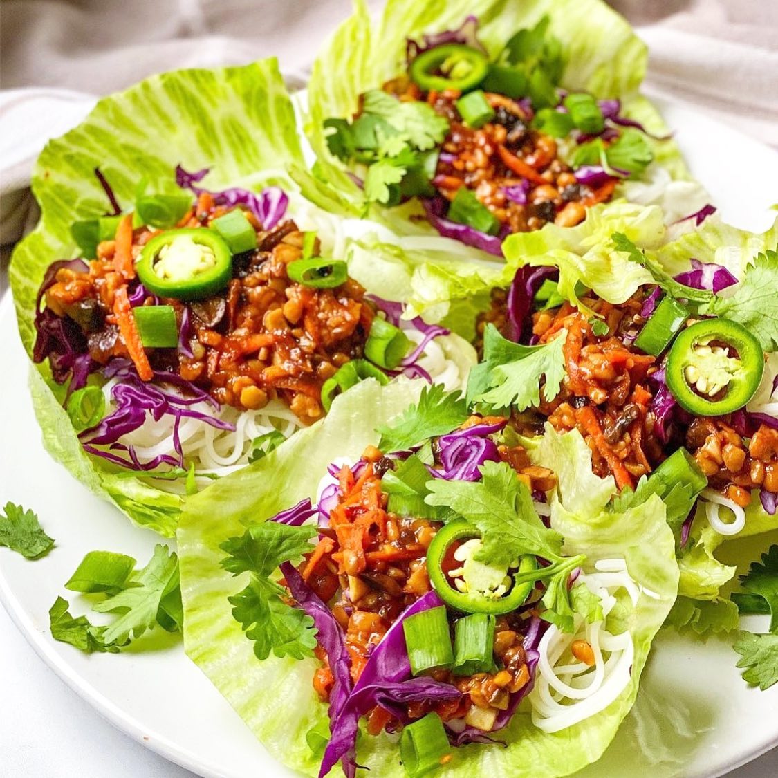 Teriyaki Tempeh Lettuce Wraps