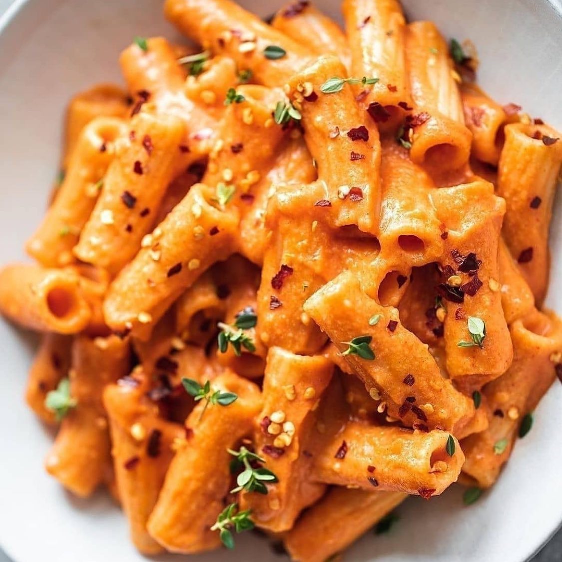 Rigatoni in Rich Savory Tomato Sauce