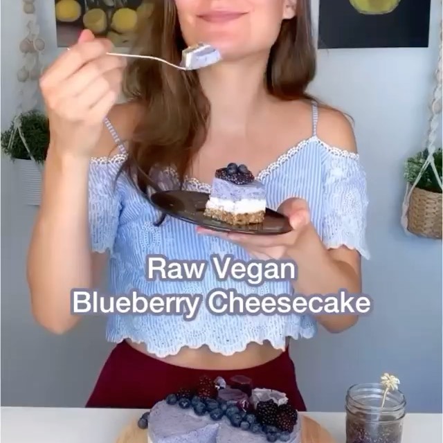 Raw Vegan Blueberry Cheesecake with Sauce