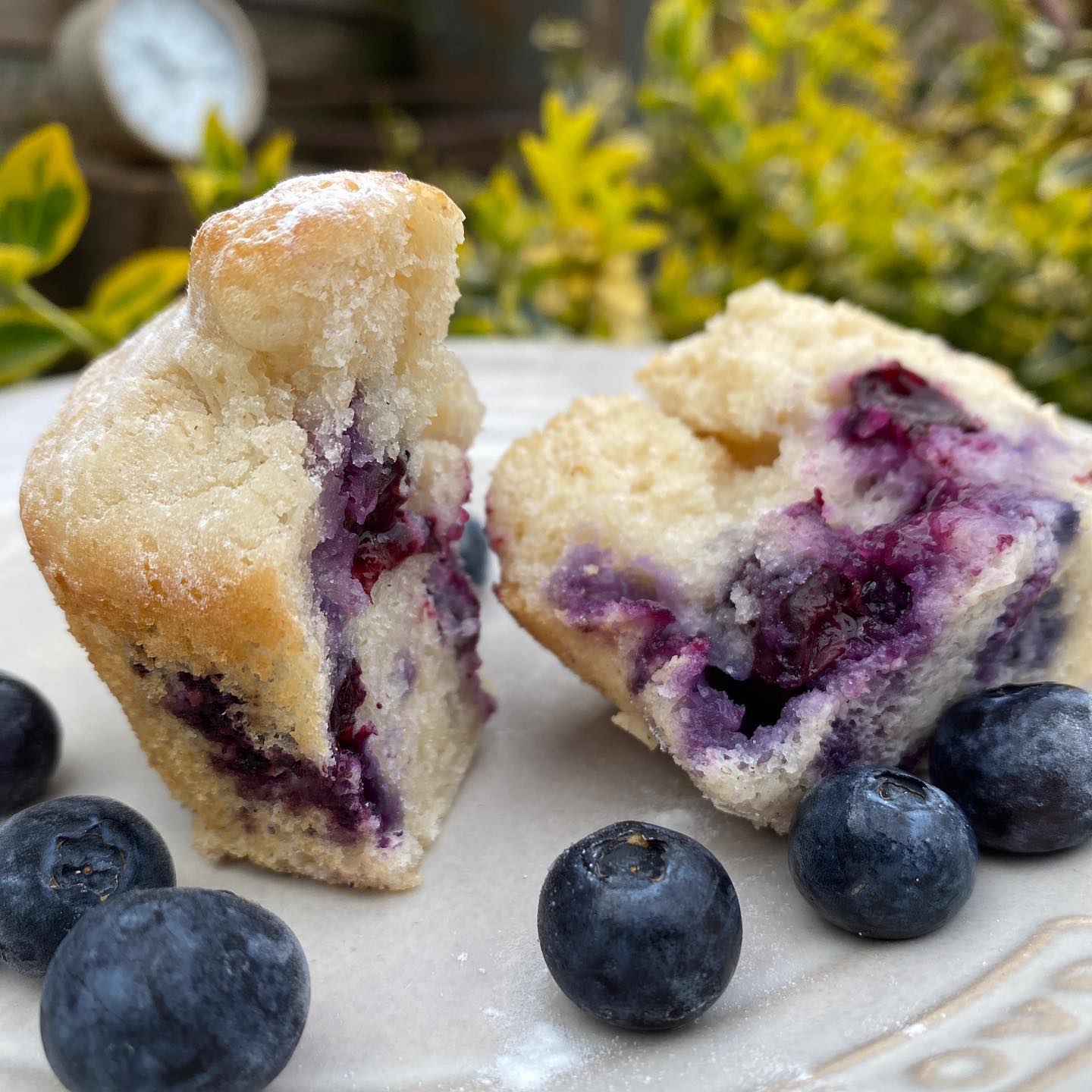 Fizzy Water Blueberry Muffin Recipe Hack