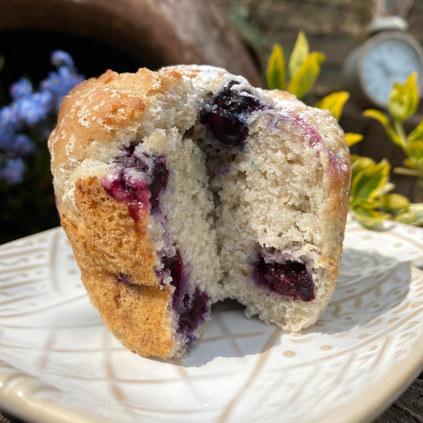 Fizzy Water Blueberry Muffin Recipe Hack