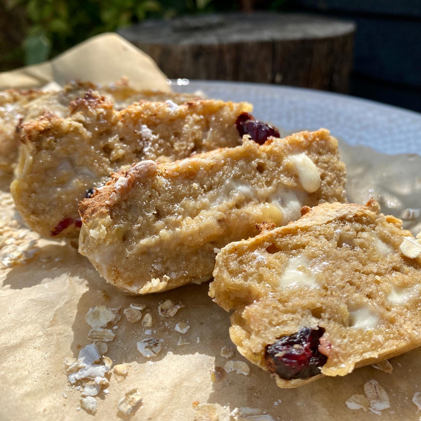 White Chocolate & Cranberry Oat Slices