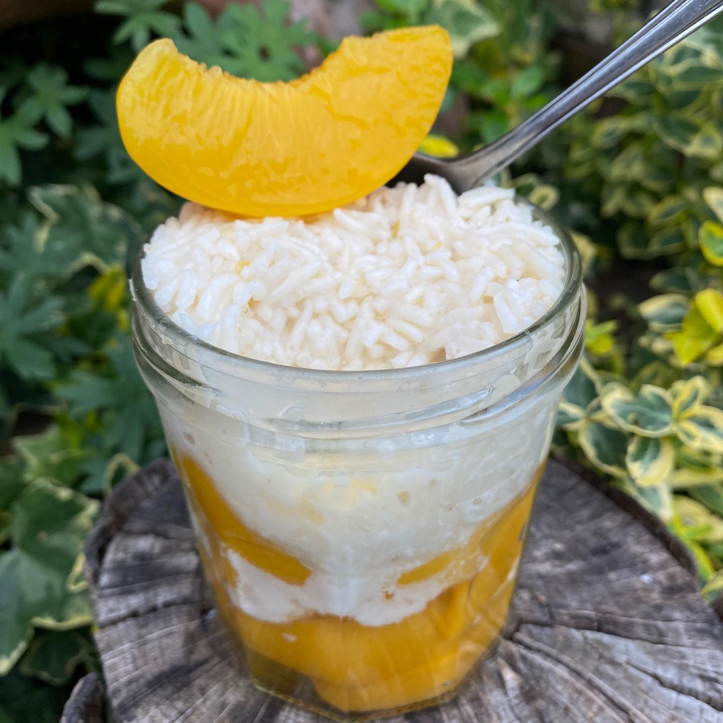 Cheat Coconut Rice for Breakfast and Dessert