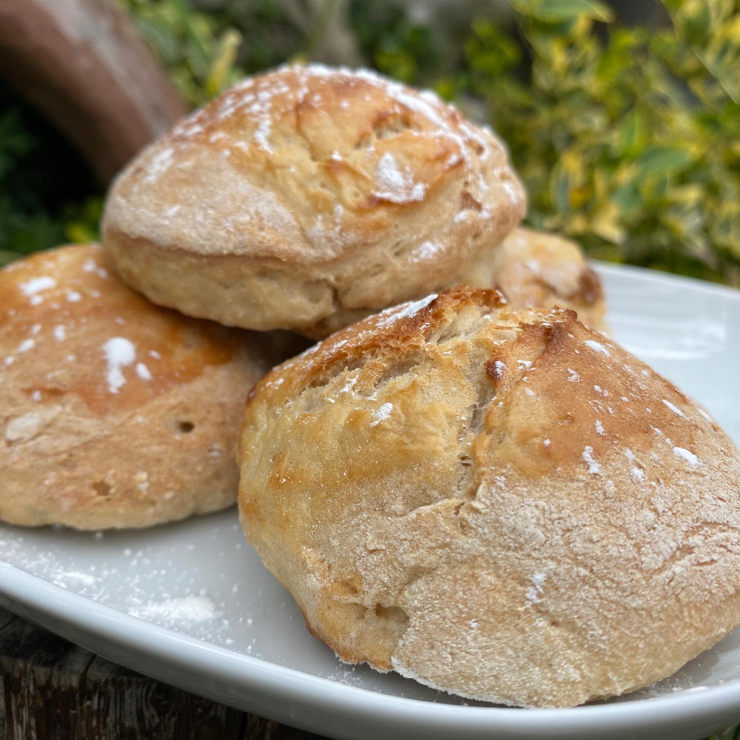 Super Easy Homemade Bread Rolls