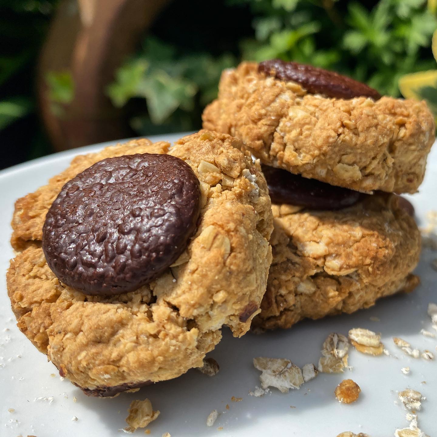 Easy Chocolate Thumbprint Cookies