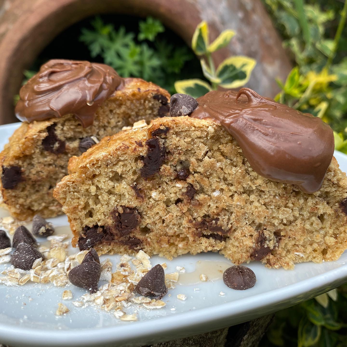 Low-Fat Chocolate Chip Banana Bread