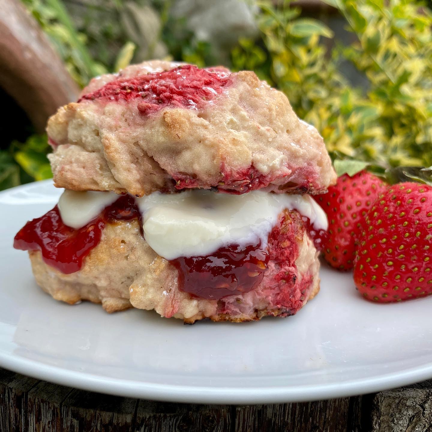 Quick and Easy Strawberry Scones