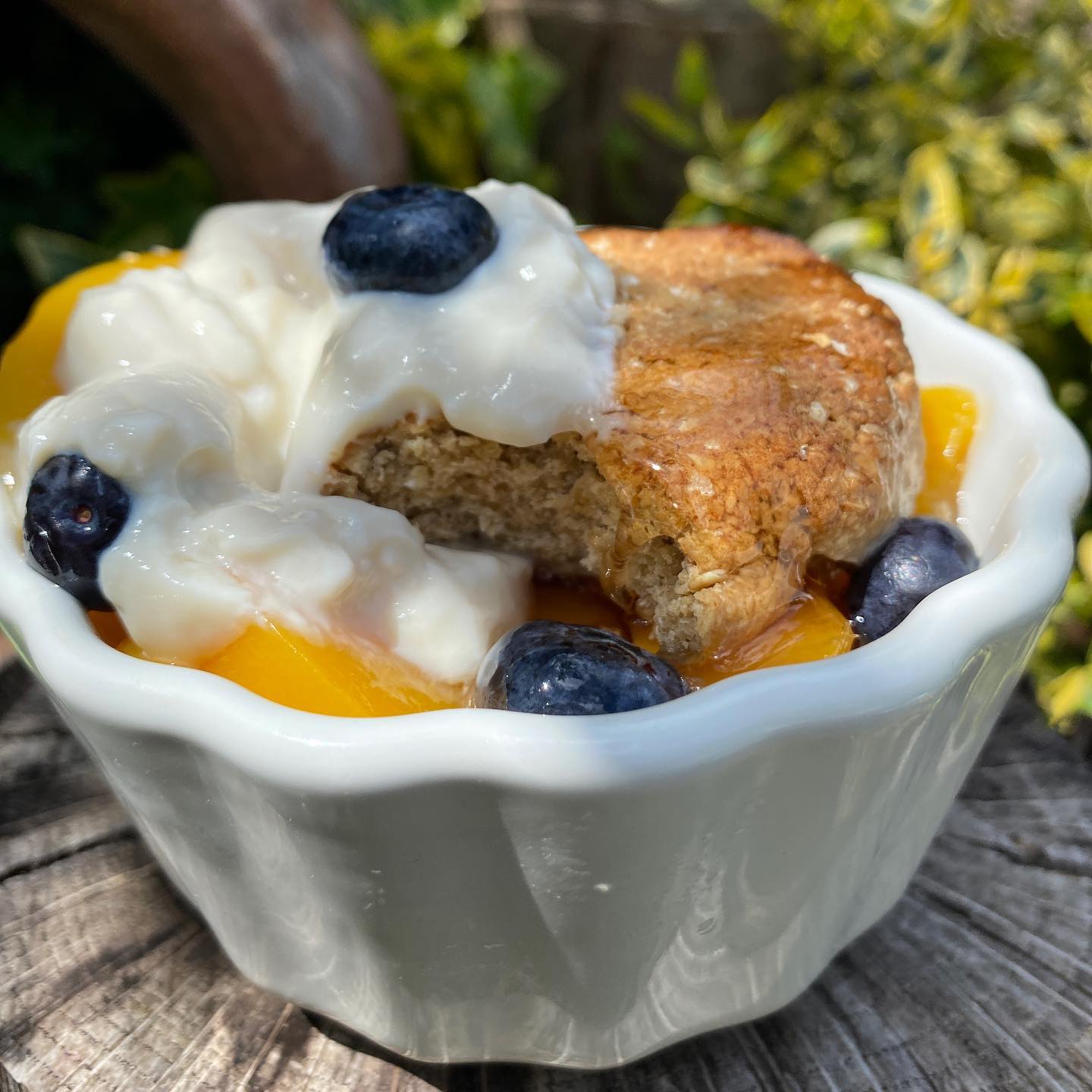 Healthy Peach and Blueberry Cobbler
