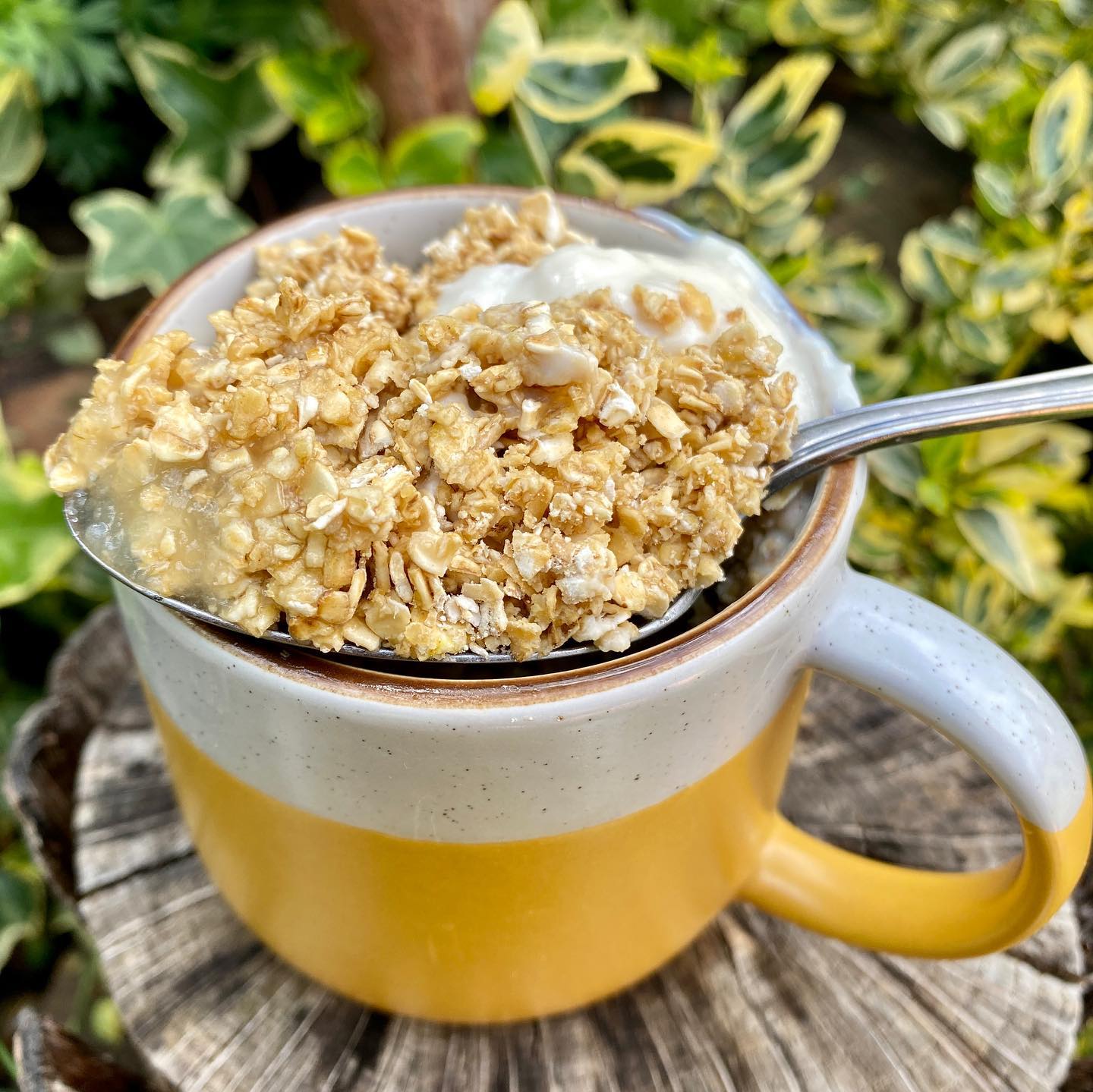Quick and Healthy Apple Breakfast Crisp in a Mug