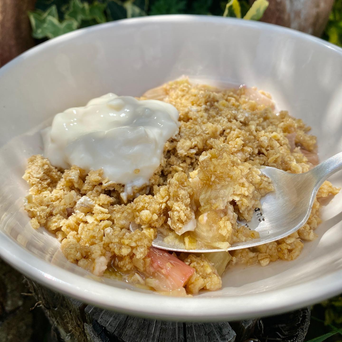 Quick and Healthy Rhubarb Breakfast Crumble