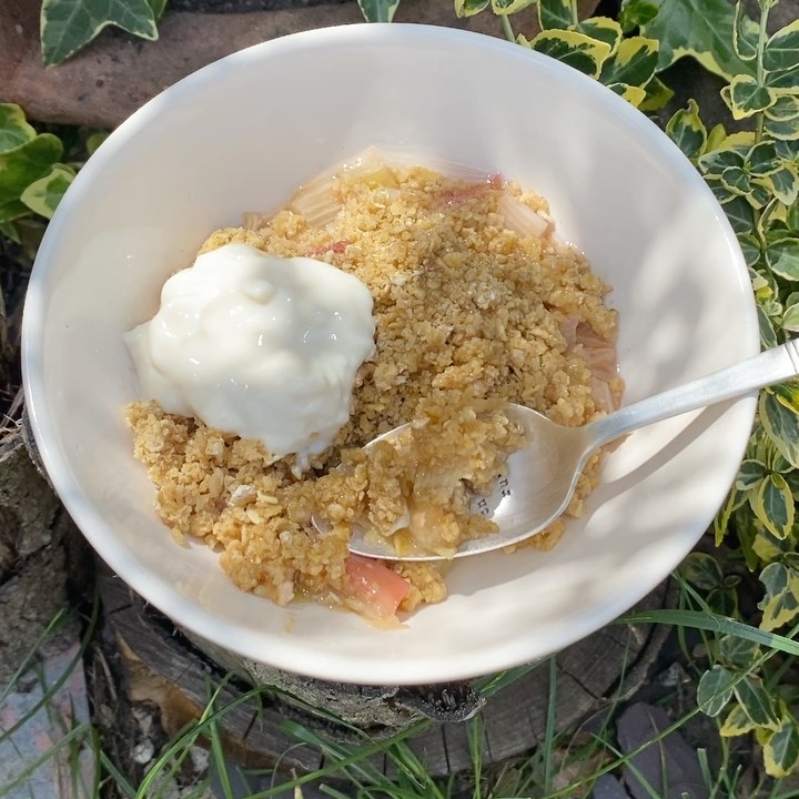 Quick and Healthy Rhubarb Breakfast Crumble