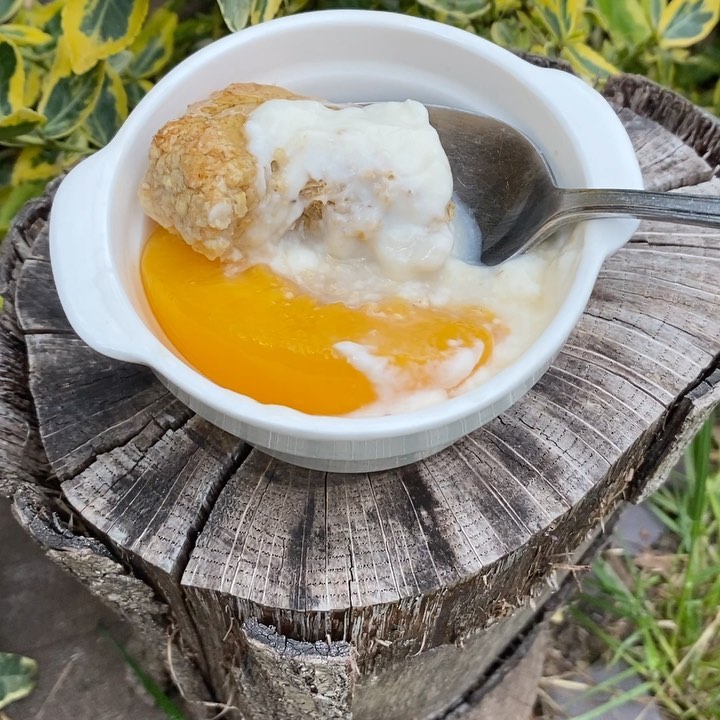 Baked Oats Peach Cobbler