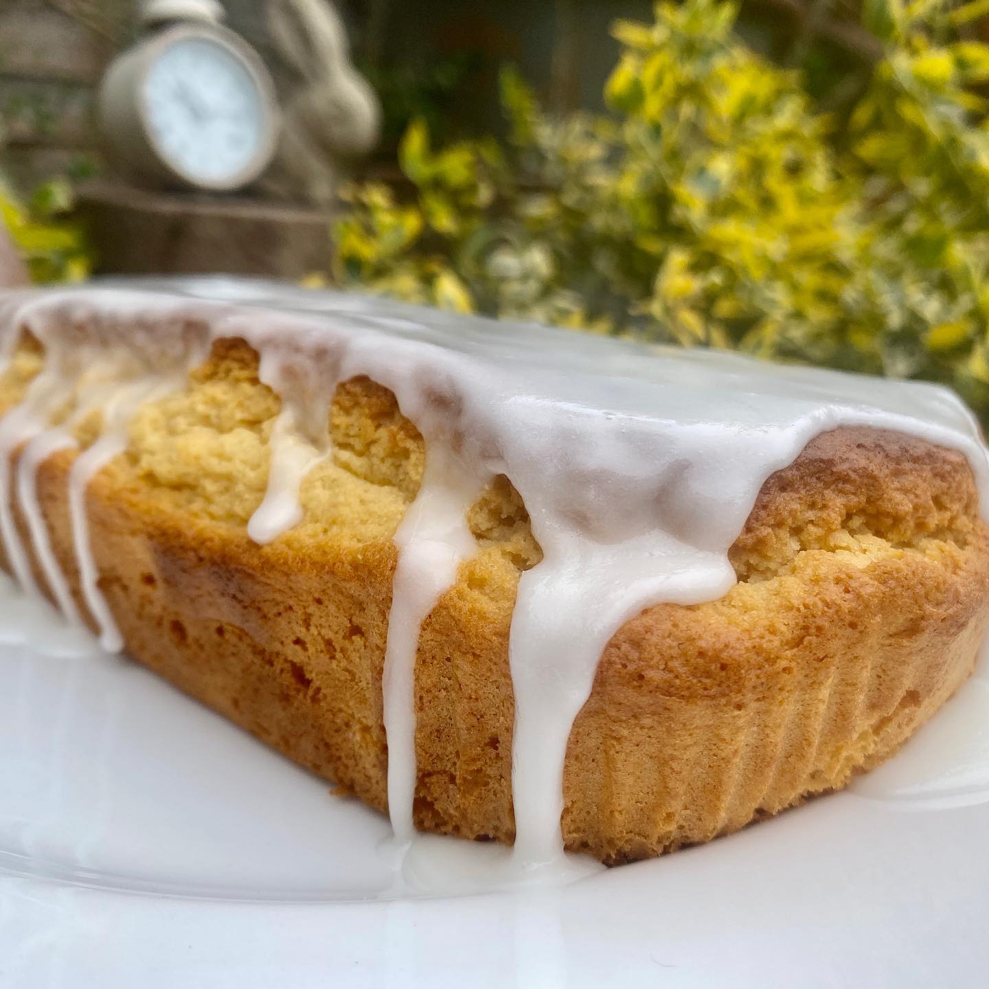 Lemon Drizzle Cake