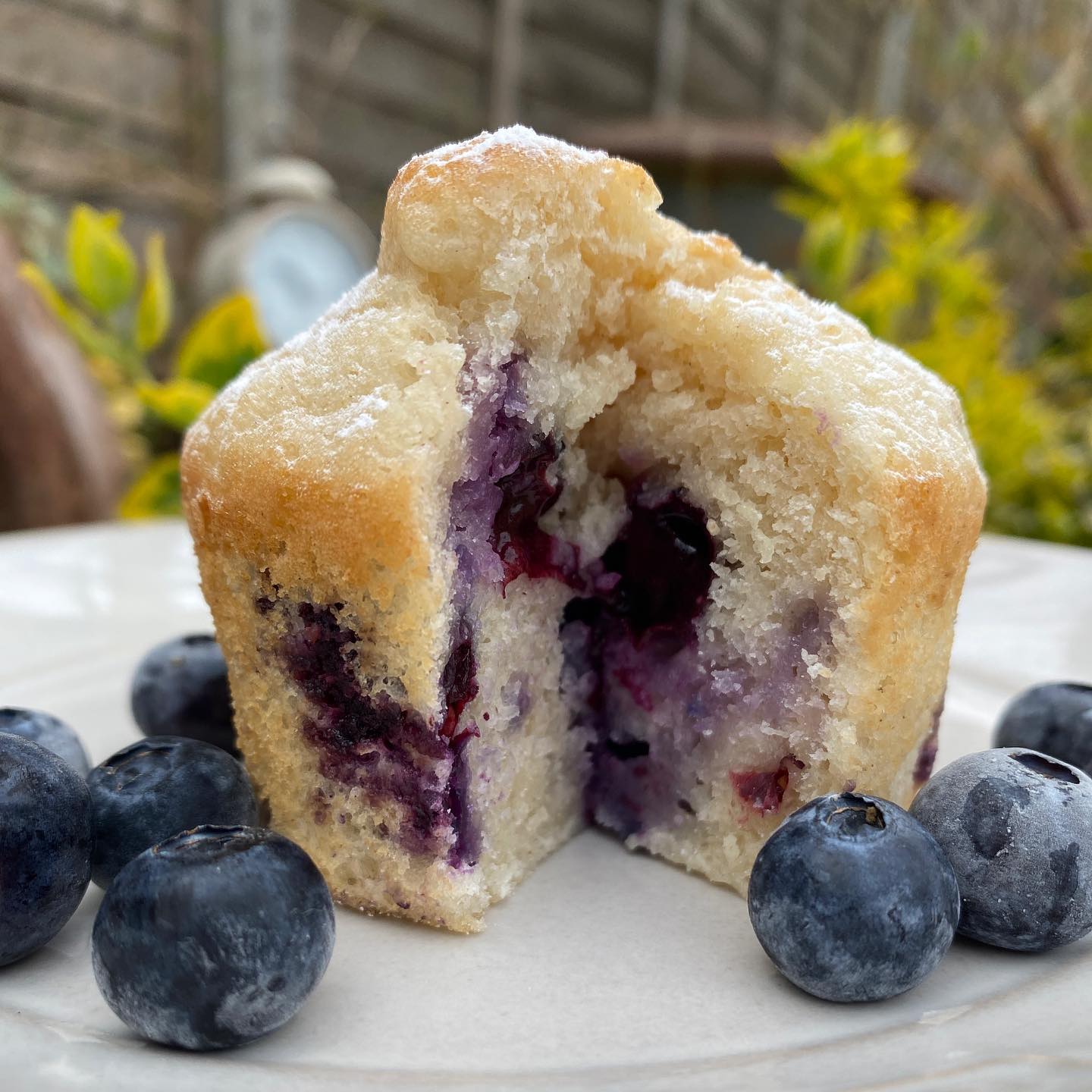 Blueberry Muffin with Fizzy Water Twist
