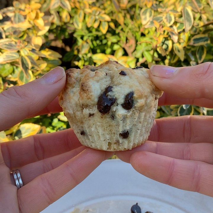 Banana Bread Chocolate Chip Muffins