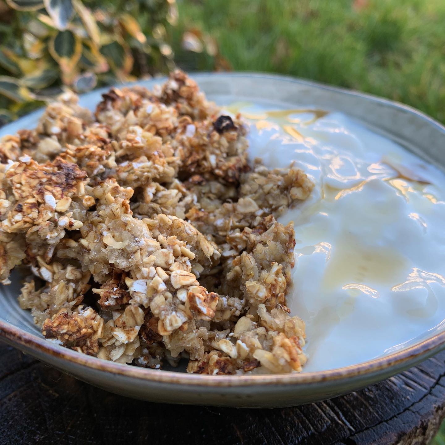 Two-Ingredient Banana Bread Granola