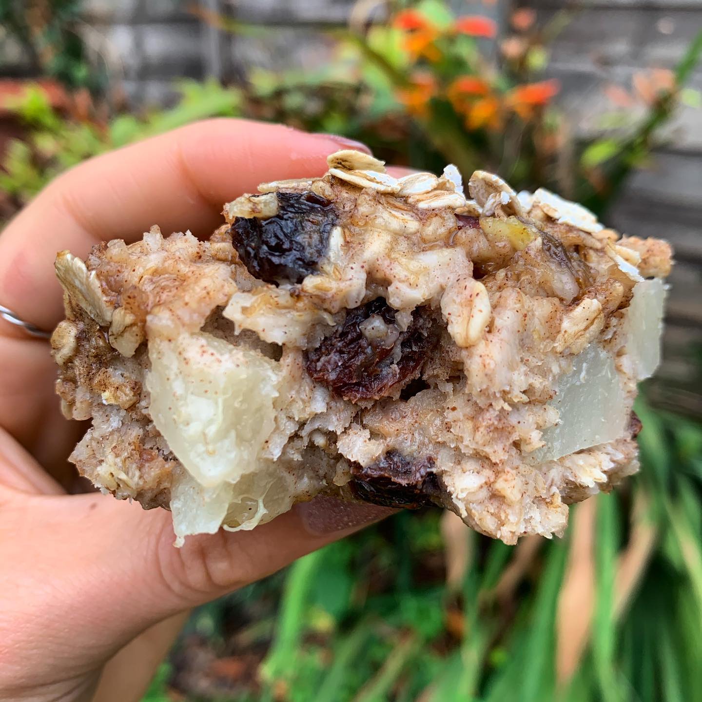 Apple Pie Baked Oats